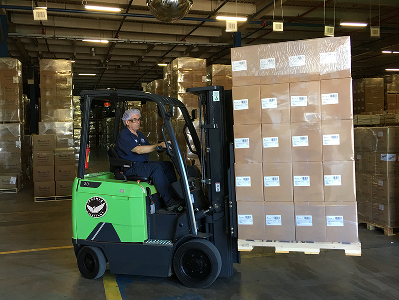 ELECTRIC FORKLIFT FL SERIES FL20-C