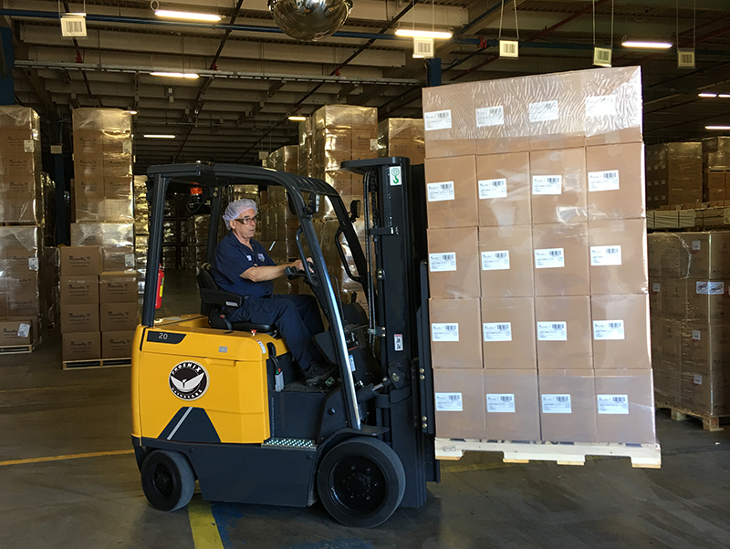 ELECTRIC FORKLIFT FL SERIES FL25-C